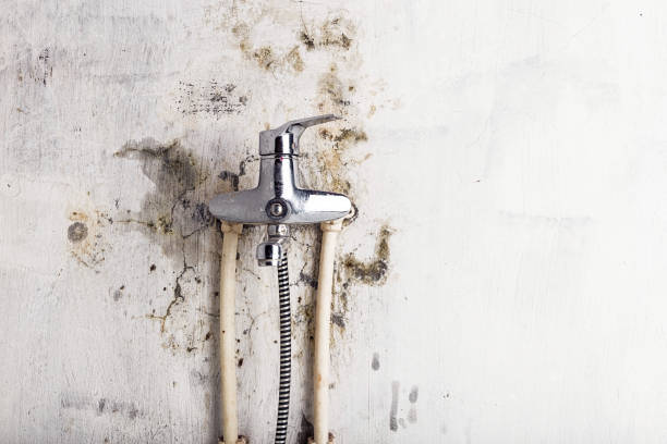 Best Emergency Mold Removal  in Oviedo, FL