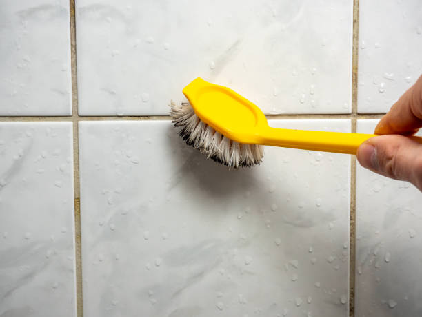 Best Local Mold Removal Service  in Oviedo, FL