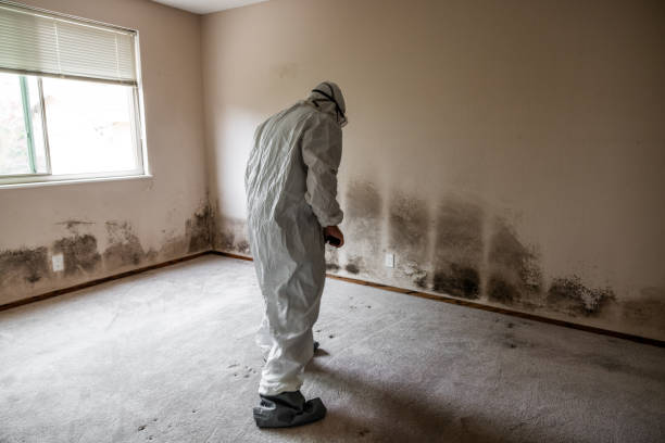 Best Residential Mold Removal  in Oviedo, FL