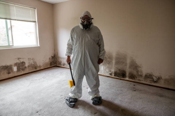 Best Residential Mold Removal  in Oviedo, FL